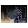 SanDisk 1TB Portable SSD - Up to 800MB/S - Image 4